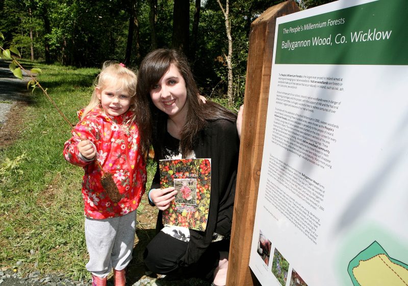 The Millennium Forests Celebrating 10 Years 22nd May 2011: Guided walks took place today in a number of People's Millennium Forests country-wide to celebrate a decade of progress in the People's Millennium Forests Project. To coincide with the celebration of the Millennium in 2000, sixteen woodlands around Ireland, comprising fifteen hundred acres, were chosen as the People's Millennium Forests. 1.3 million young trees of native species were planted on the forest sites that were dedicated in perpetuity to the people of Ireland. The saplings that were planted in 2000 have now begun to enter the next stage of their development creating young, vibrant, native woodlands rich in both plant and animal life. The celebration of these forests today is timely given that is International Day for Biological Diversity. Photo Chris Bellew / Fennells